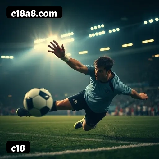 c18: A Plataforma de Apostas com Serviço Profissional